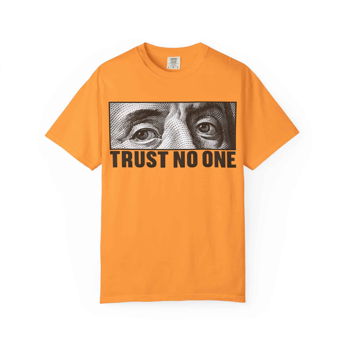 Graphic Print  Unisex Garment-Dyed T-shirt - POD0039 image 24