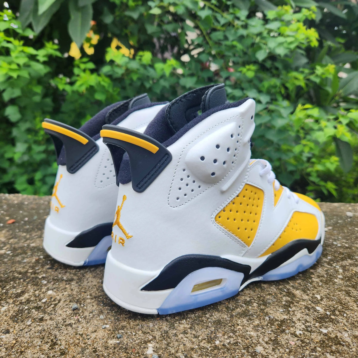 AJ 6 Yellow Ochre Shoes Sneakers - nk0003247 image 7
