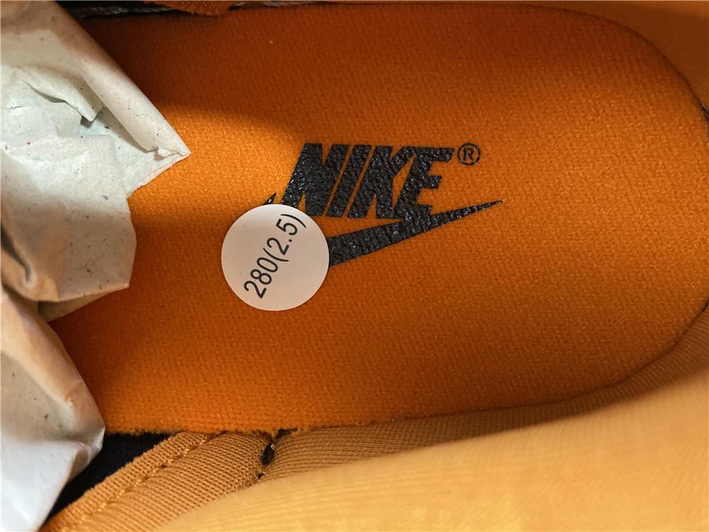 Dunk Low Ceramic Shoes Sneakers - nk0001342 image 15
