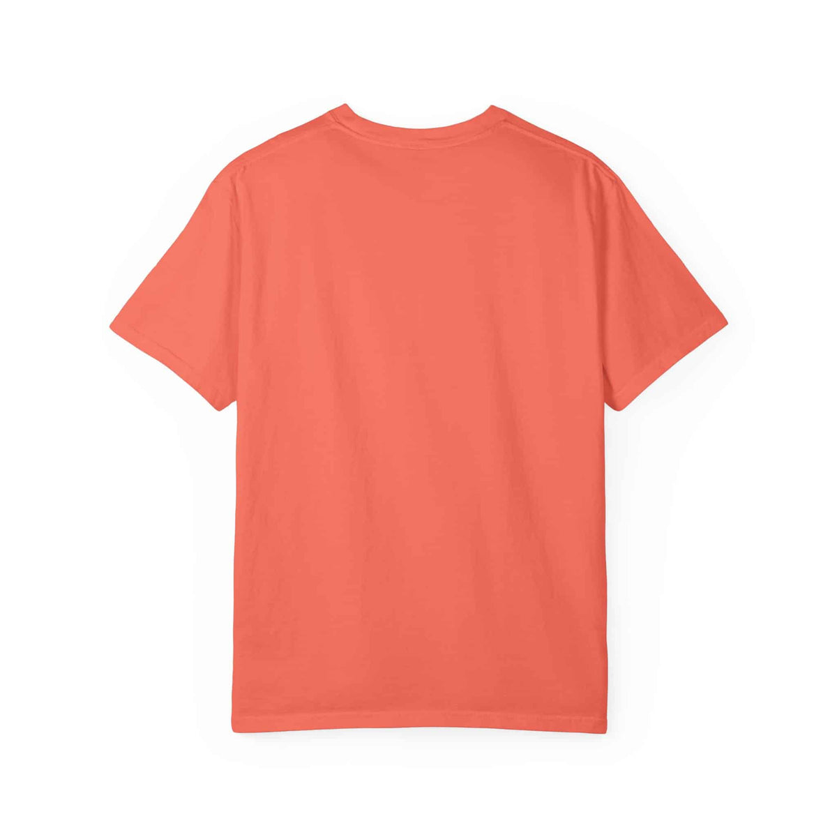 Rap Nas Live At The BBQ Unisex Garment-Dyed T-shirt image 13