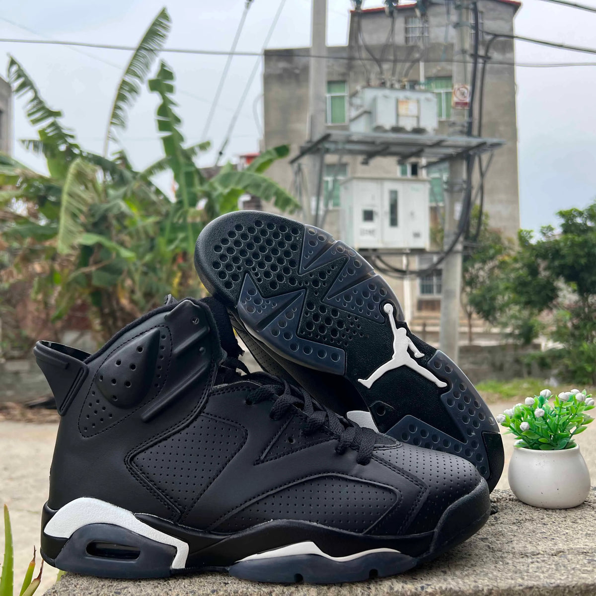 AJ 6 Black Cat Shoes Sneakers - nk0003840 image 5