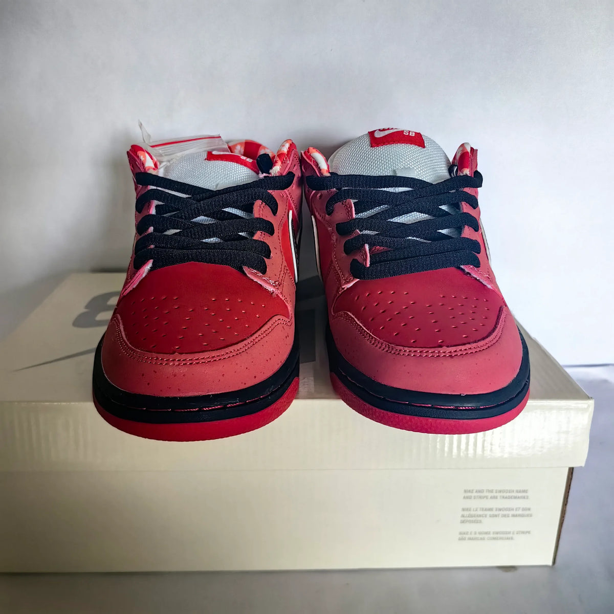 SB Dunk Low Concepts Red Lobster Shoes Sneakers - nk0002525 image 8