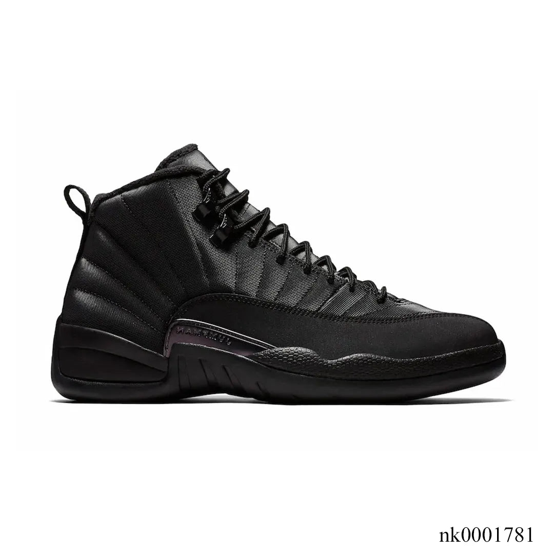 AJ 12 Retro Winterized Triple Black Shoes Sneakers - nk0001781 image