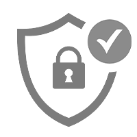 100% secure payment