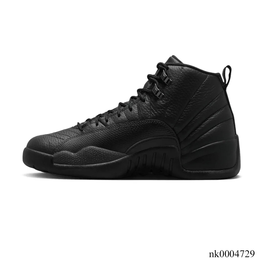 AJ 12 Black Cat Shoes Sneakers - nk0004729 image 1