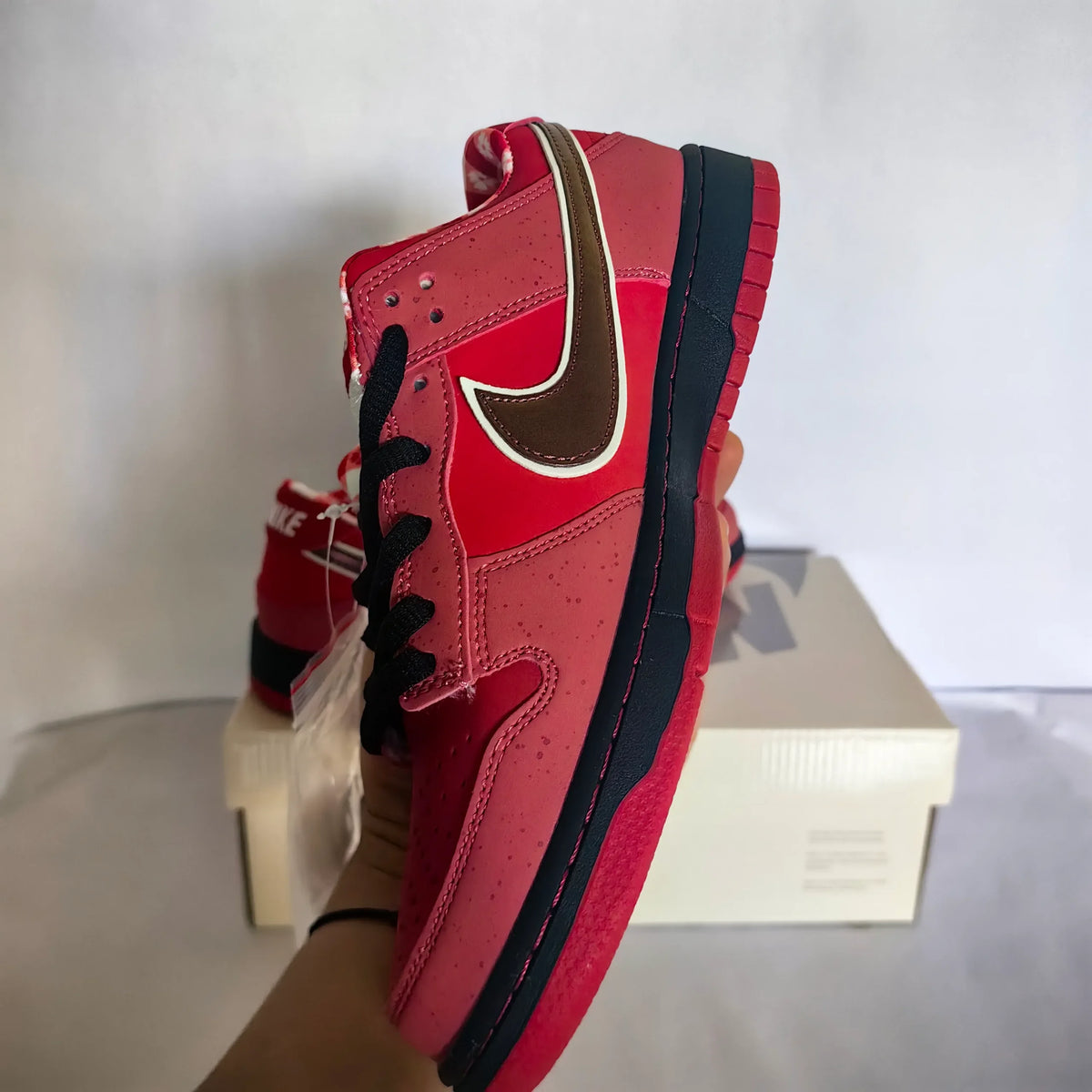 SB Dunk Low Concepts Red Lobster Shoes Sneakers - nk0002525 image 4
