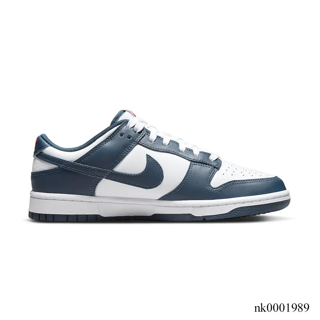 Dunk Low Retro Valerian Blue Shoes Sneakers - nk0001989 image