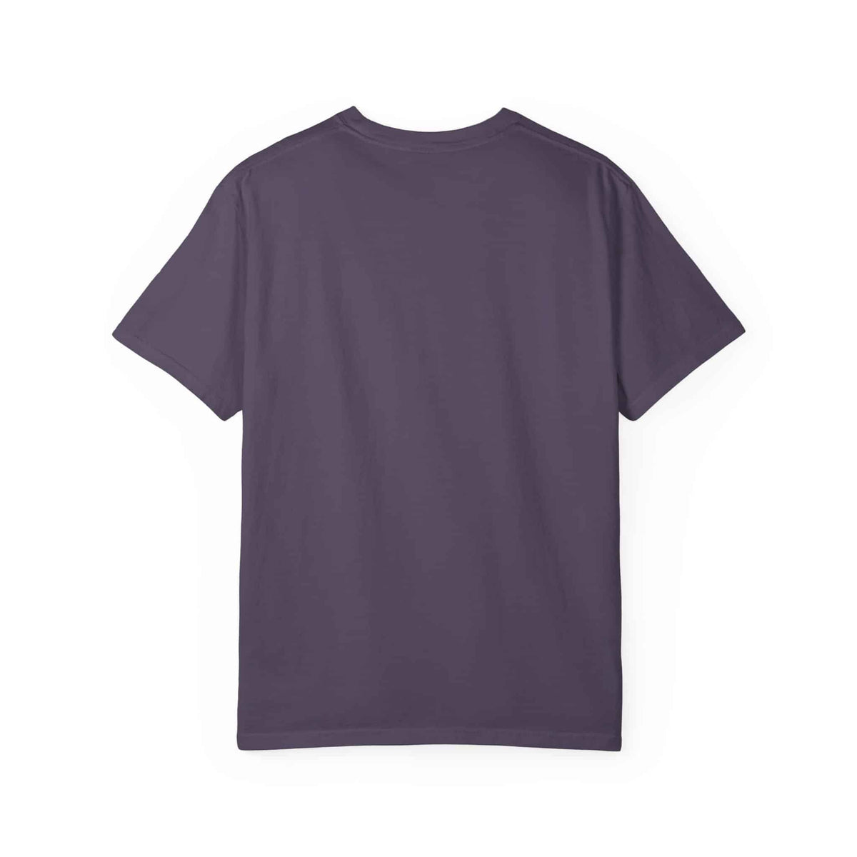Nas The Last Word Unisex Garment-Dyed T-shirt image 53