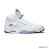 AJ 5 Retro Metallic White (2015) Shoes Sneakers - nk0002514