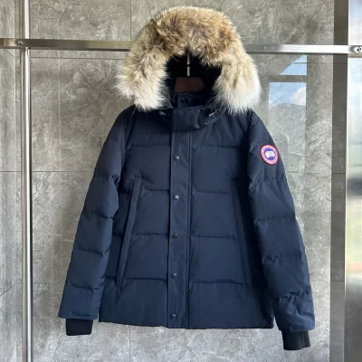 CG Jacket - 164  - cg0000164 - S