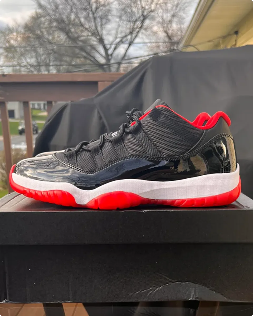 AJ 11 Low Bred