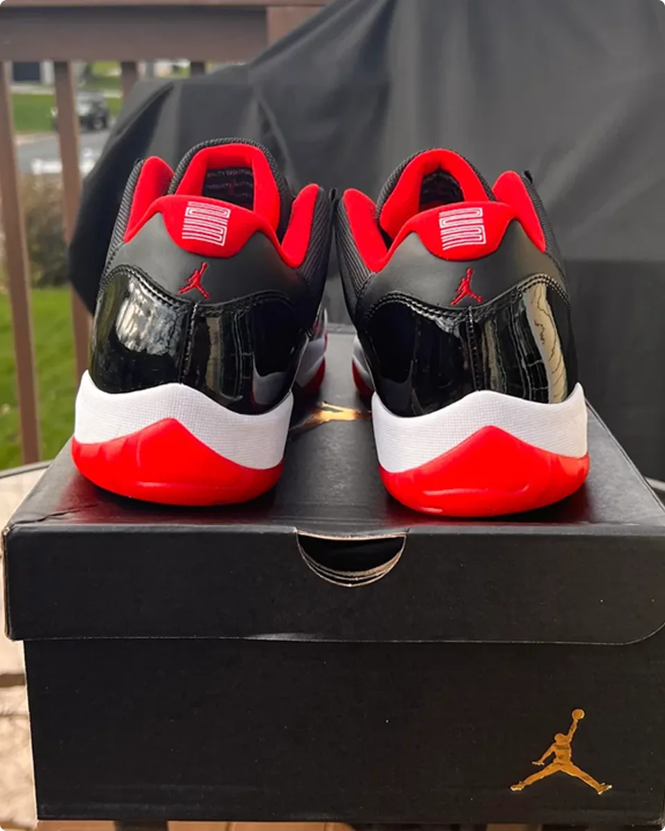 AJ 11 Low Bred